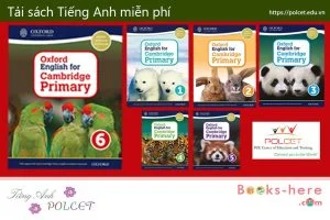 Oxford English for Cambridge Primary 6